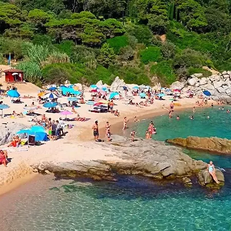 Estudio Paz Lloret de Mar